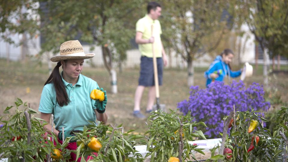 Садоводам на заметку: как сделать пребывание на даче приятным и полезным