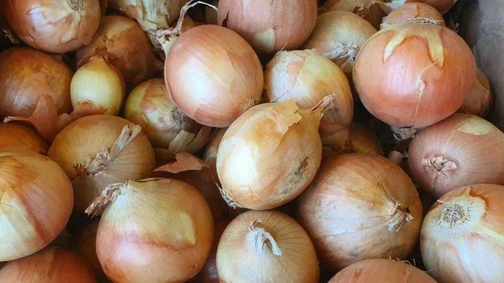 Что делать, чтобы лук не горчил в салате: уловки хитрых хозяек