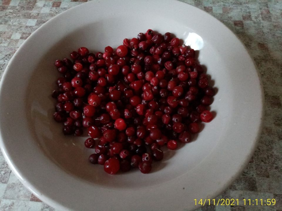 Клюква на зиму: секреты хранения и кулинарные рецепты