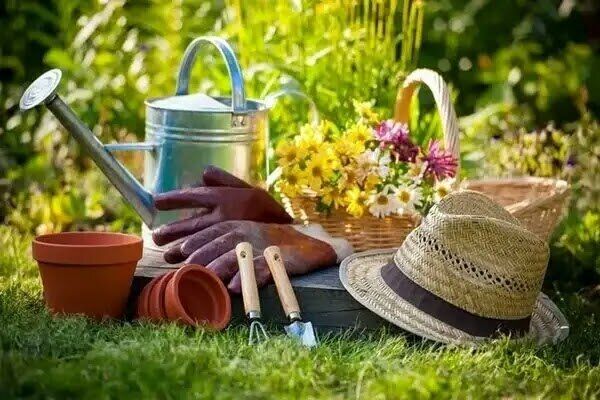 Секреты мягких рук: как создать идеальное средство для ухода после огородных хлопот