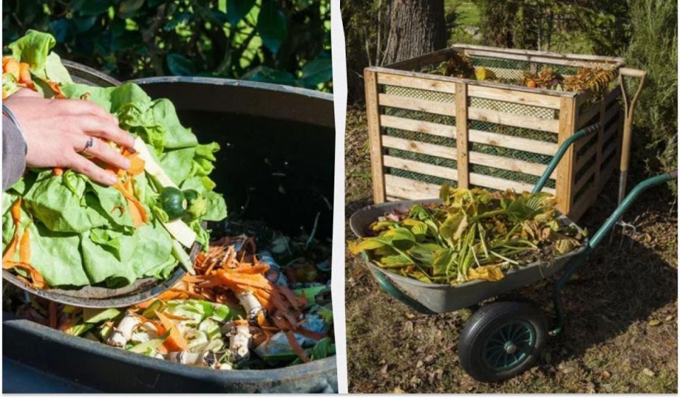 Компостирование без ошибок: что не стоить добавлять в кучу