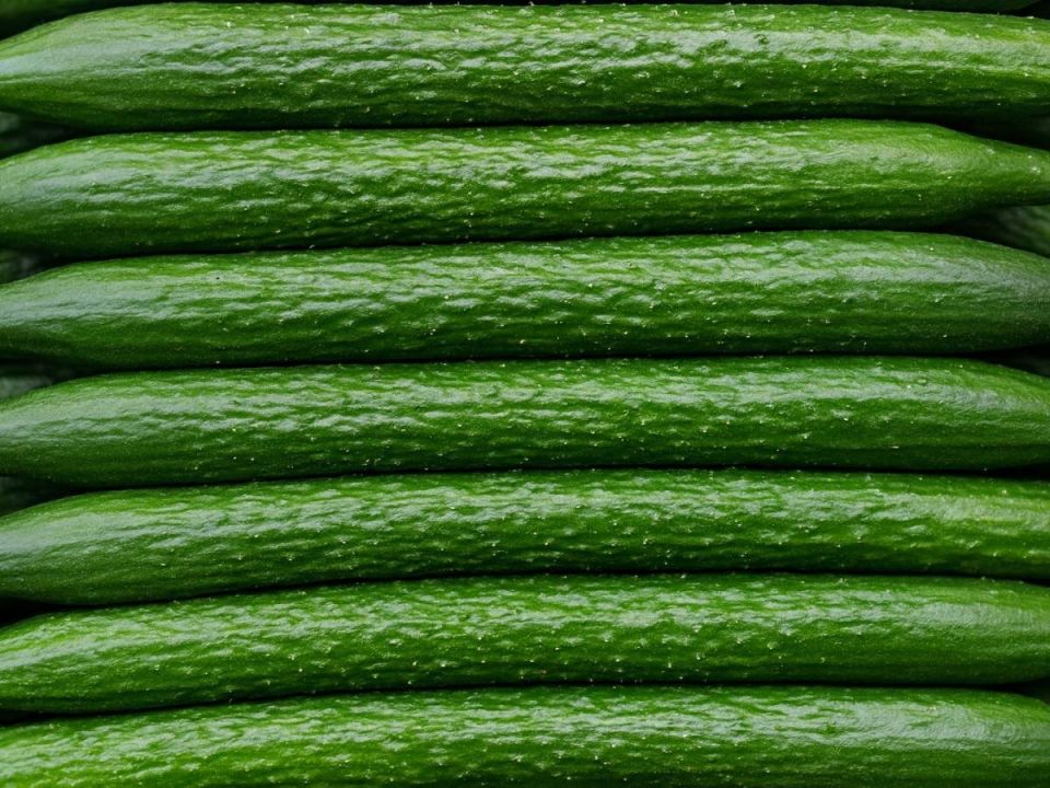 Почему китайские огурцы завоевывают россиян и как их правильно выращивать