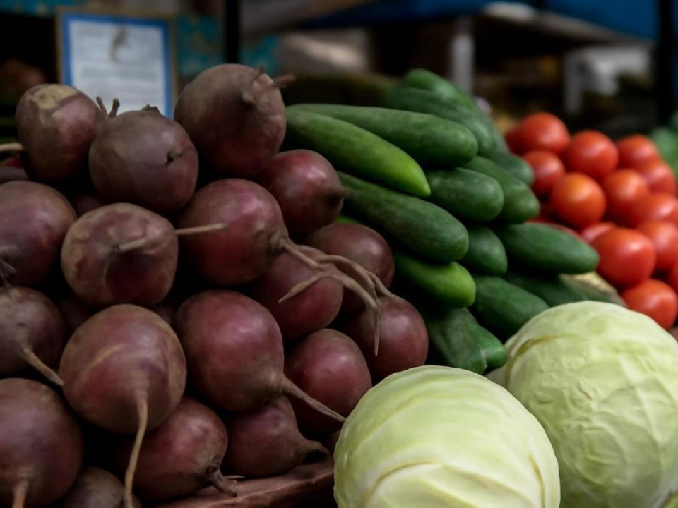 Как сохранить урожай в городской квартире: практические советы для горожан