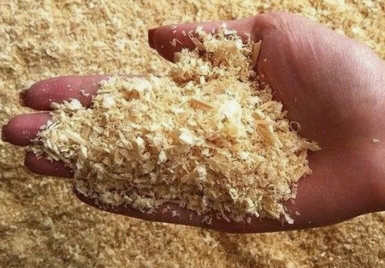 ������������� ��������: �����, ������ � ������� ��������� ����������