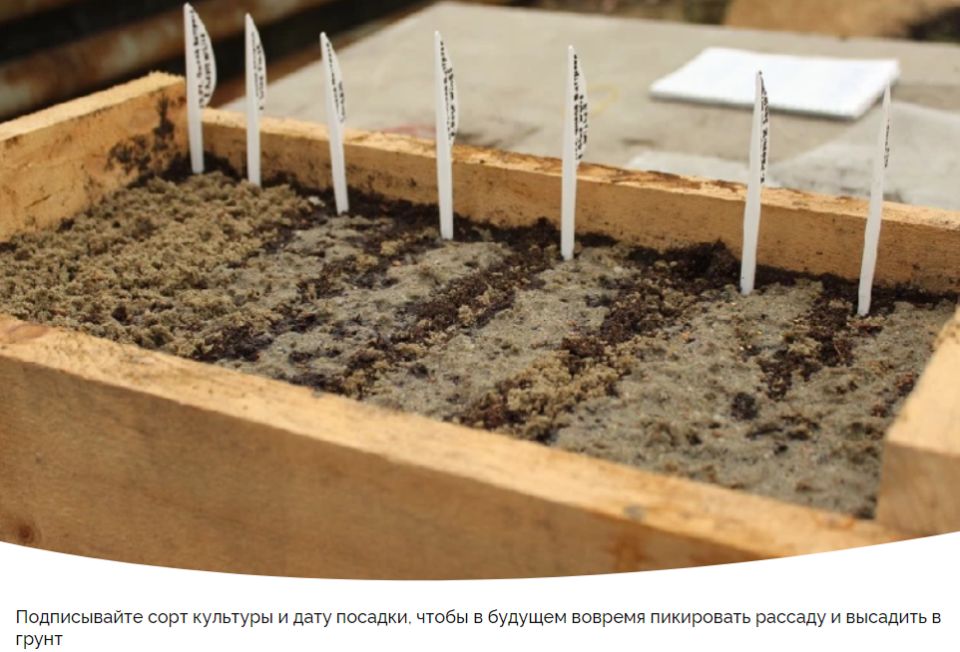 ������ ��������� ��������: ��� ������ � 30 ������� �� 5 ������