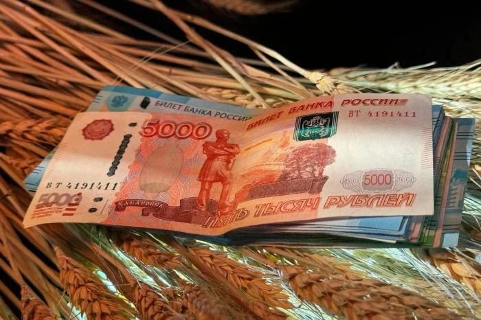 Повышение пенсий: четыре способа увеличить фиксированную выплату в России