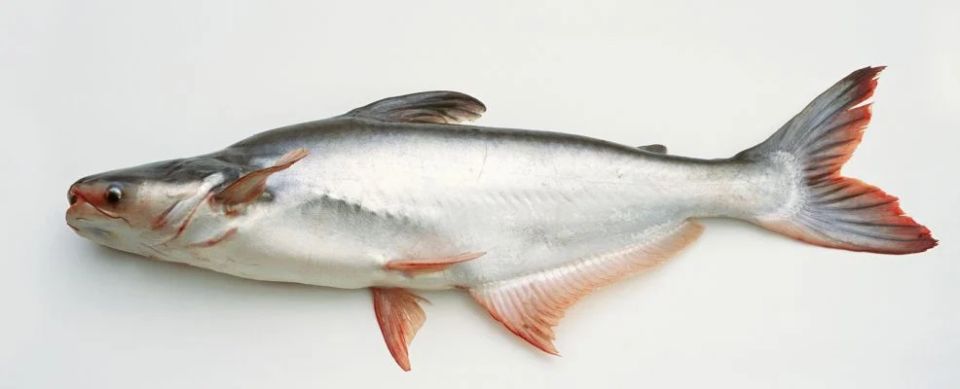 ������� ������� ����������: ����, ������� ����� ��������� �� �������