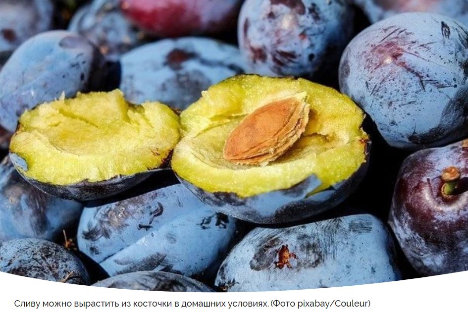 ��� ��������� ����� �� ��������: ��������� ����������� ��� ���������