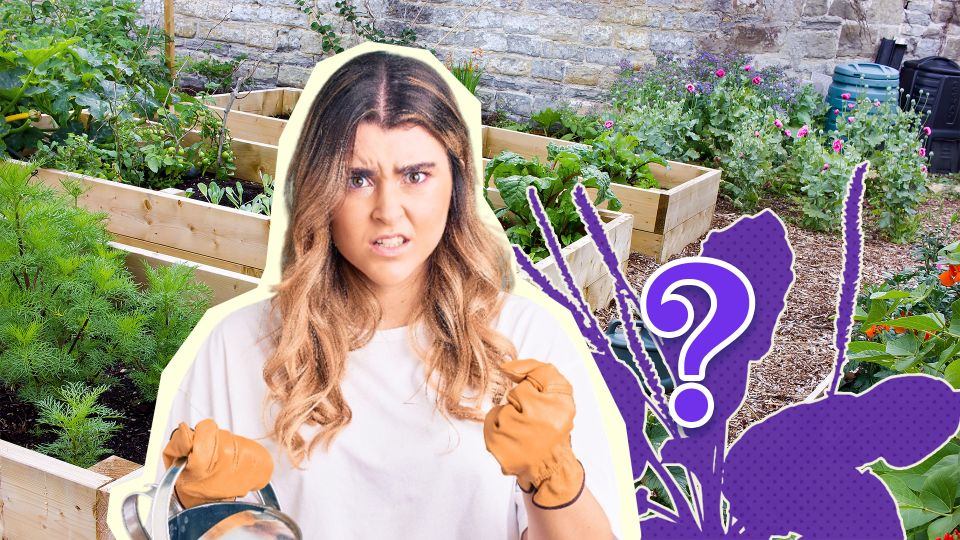 ��� ������� ������ �� ��������� �������� � ������: ��������� ���� �������