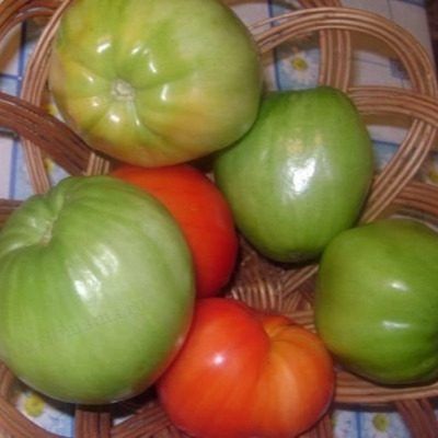 ����� ��������: ��� ��������� �������� � ������� �������