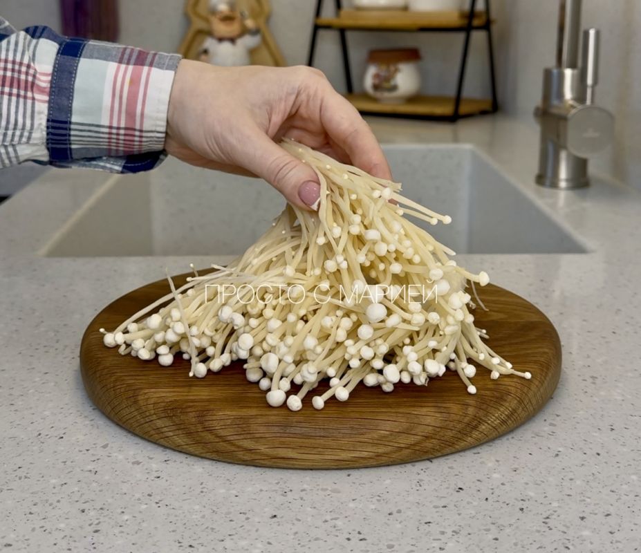 ������� ����: ����� ���������������� ����� �� ���������