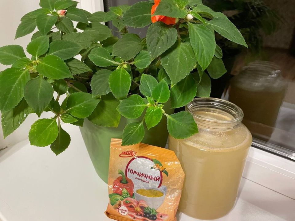 ��������� �������: ����������� �������� ��� ��������� ��������