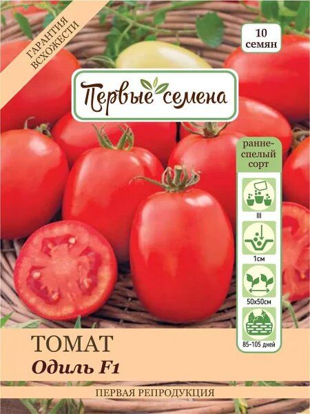 ������ �����: ��� ��������� � ��������� ��������� ������