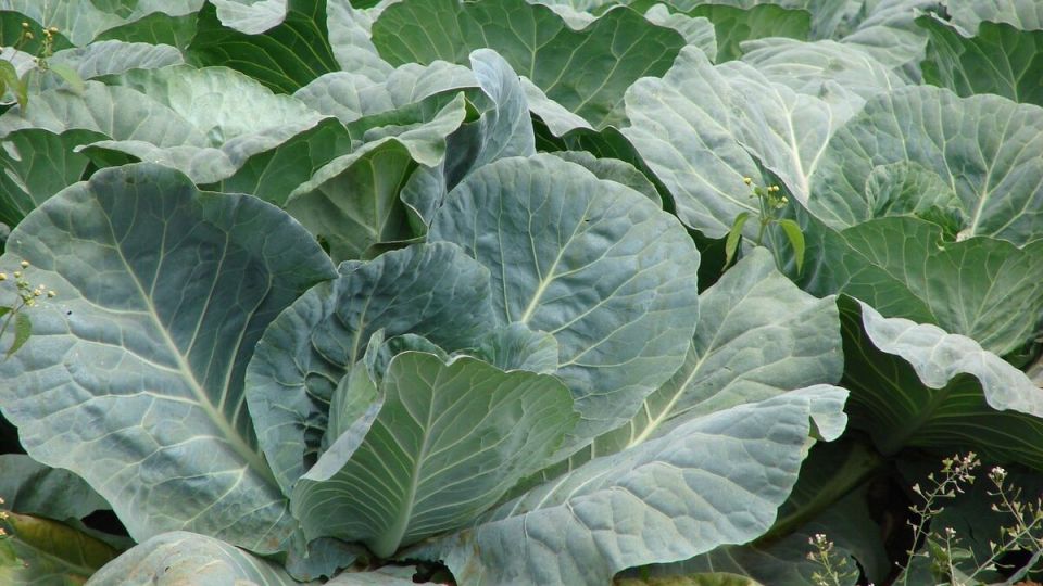 ������� �� ������������ � �����? �������, ��� ������ ��� ��������!