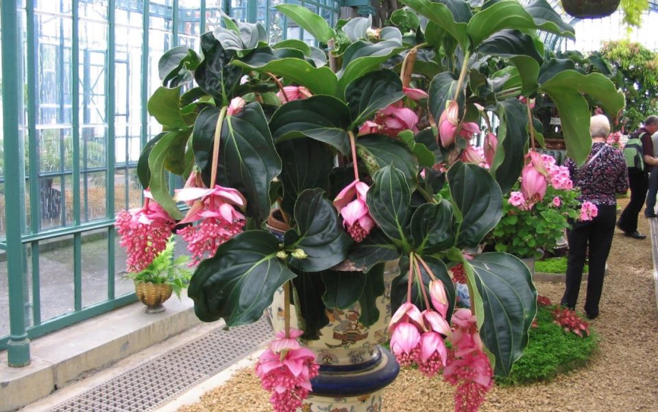 ��������� ������ ������: ��������, ������� �� �������� ������ �����