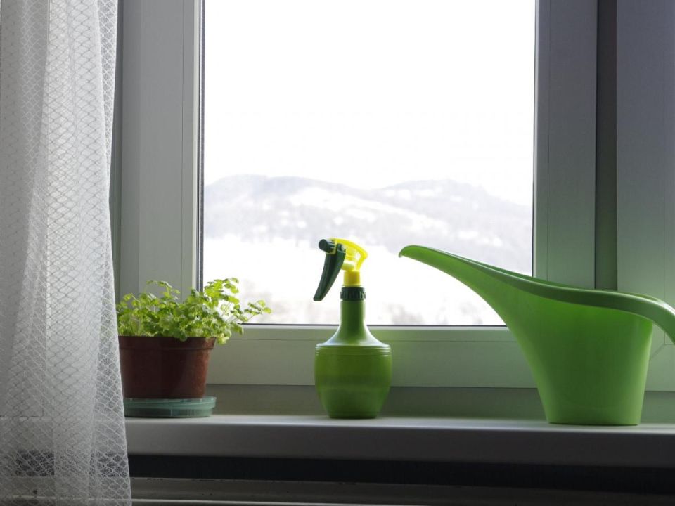 ��� ������� ������ ����� �� �����������: ������� ���������� ������ � �������