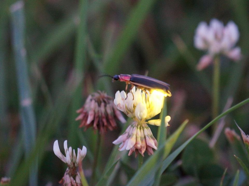 �������� ��������� ����������: ������ ��� ��������� ��������� ������������