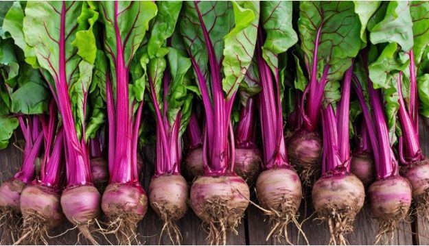 ���������� ����� � ���������� � ��������: �������� �������� ��� ������ �����