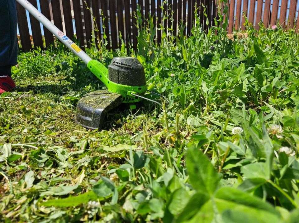 ��� �������� ������� �� ����: 9 ����������� ��������