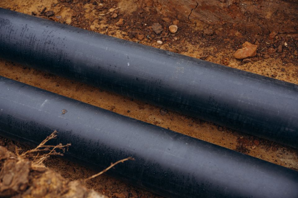 ��� ������� �������� ������ �� �����������: �������� �������� � ������