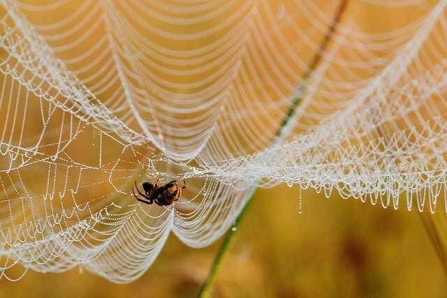 ����� � ����: ��� �� ��������� ���������