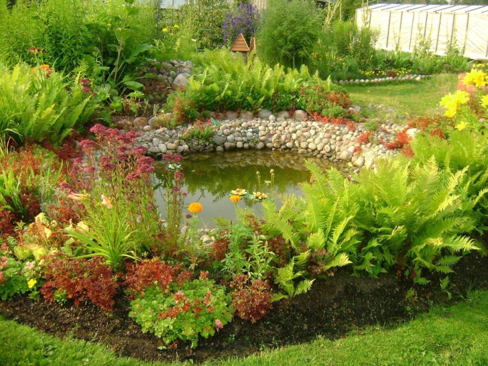 ��������, ������� ����� �����: ��������� ������� ��� ���������