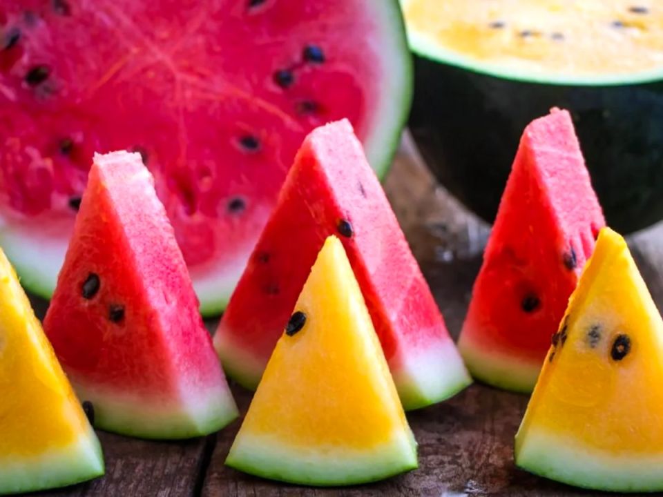 ������ ������ ������ ���������� ���������� �������?