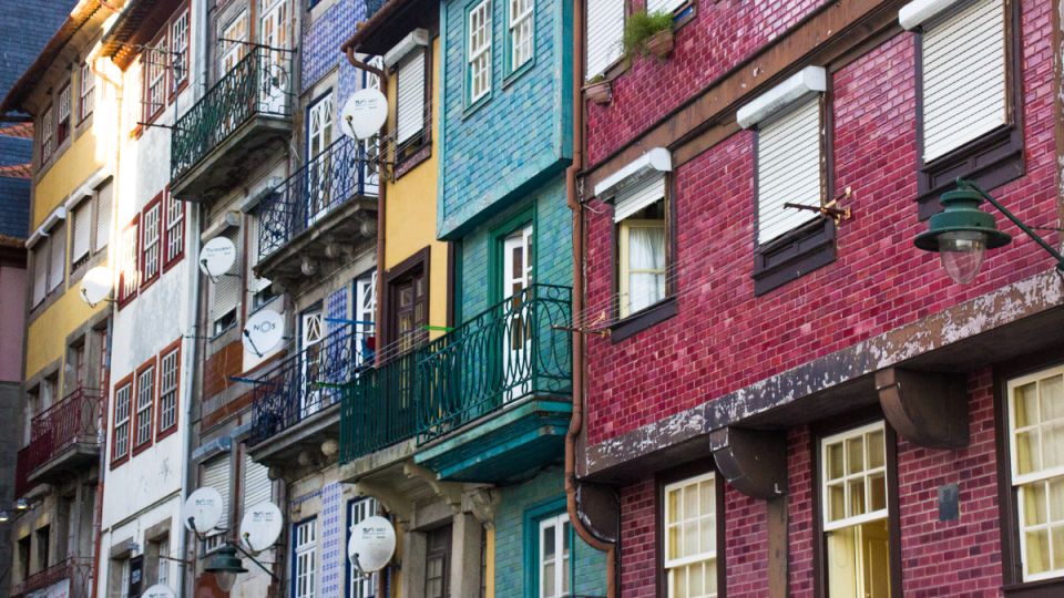 ������� �� ������ ���� ������� ������������ �������: ������������ ������ �� ���� � ����� ���������