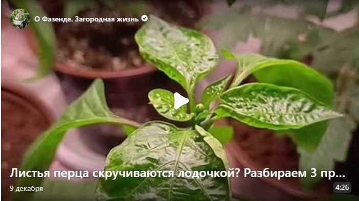 Практичность недели: восьмёрка материалов премиума без воды и с конкретикой