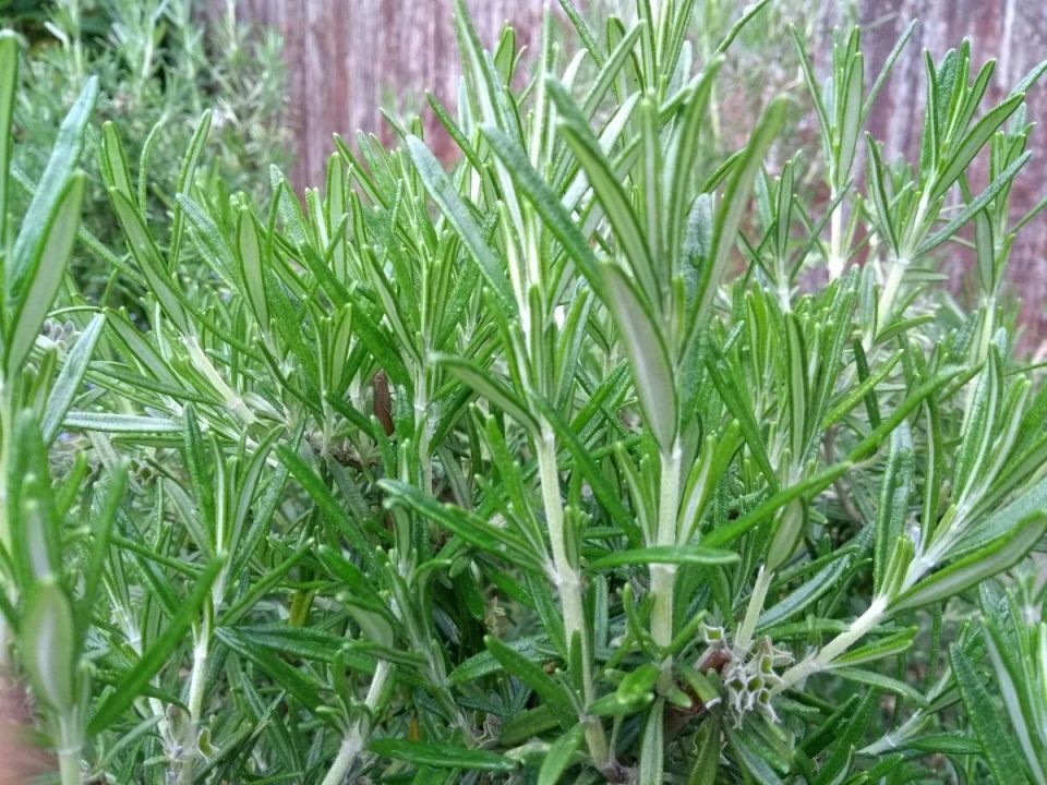 �������� ��� �������� ����� � �������� ����������� ����