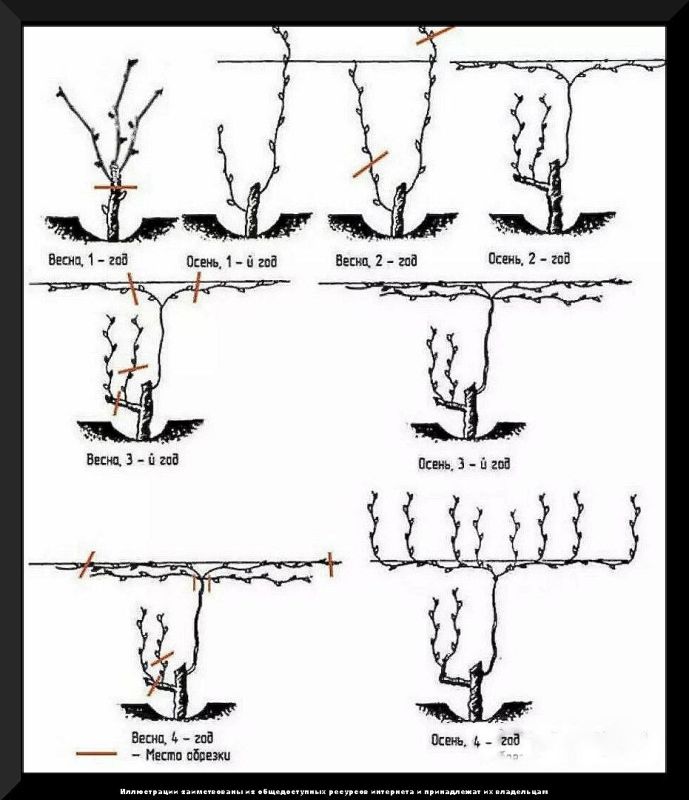 ��� �������� �������� �� �������� ������: ������ ��� ���������