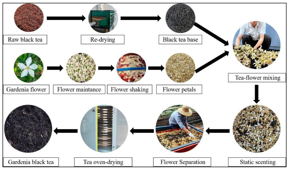 ��� � ���������: ��������� ������������ �� ����� ������