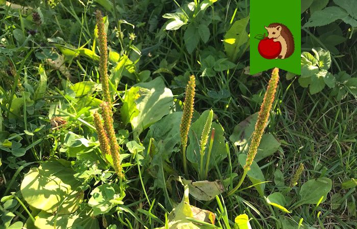 �������, ������� ����� �� �������: ���� � ����������