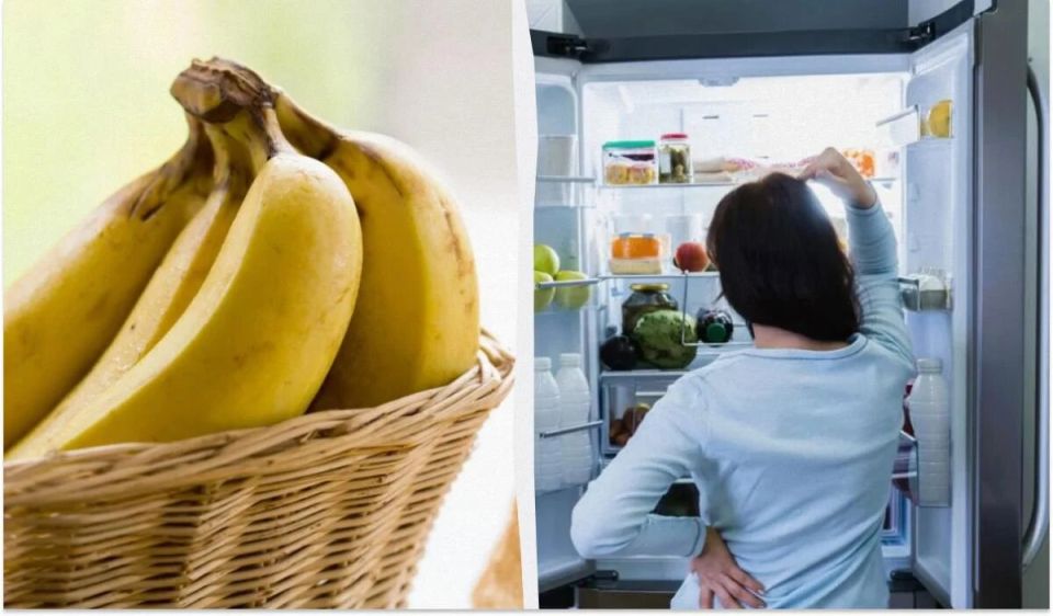 ��� ��������� ������� ������: ������ �� �������� �������