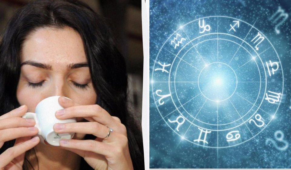 �������� ������������ �� �������: ������� ���� ��������� �������