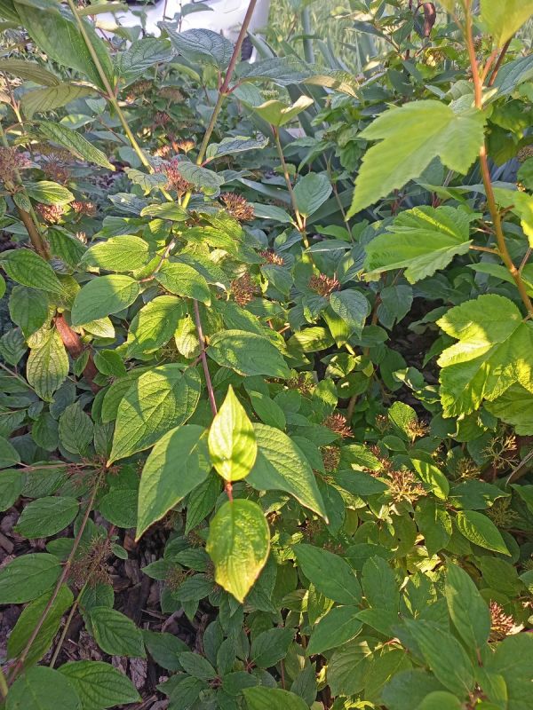 ����� � �������������: ��������� �������� ��� ���� � ����������� ������