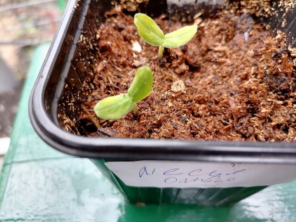 ����� ���� ������������ �������: �������� ������ ��� ���������