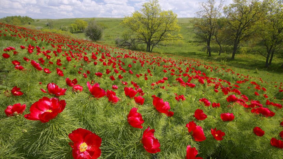 ��������� ����� ��� ��������� ������