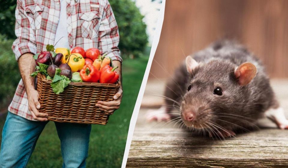 ��� �������� ������� �������� ��� ������� �� ����