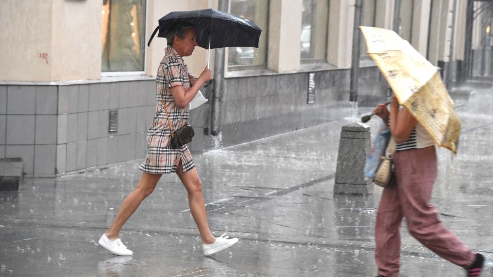 ��� ������ ��� �����: ����� �� ������ ������ � �������, �������� ��������