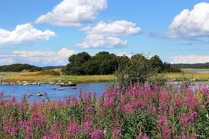 ������� ��� �� ����-���: ���� ���������, ������ �� ������ ����������