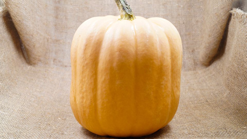 ��� ����� ���������� ������� ���������� ������� ���� �� ������ ����