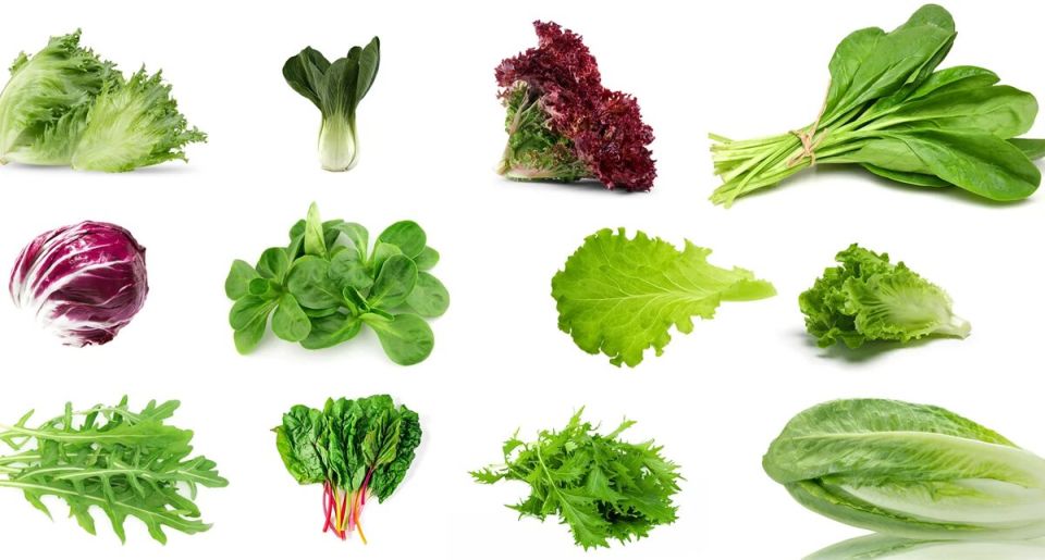 ������� ������: ������������ ������ � �������� �������