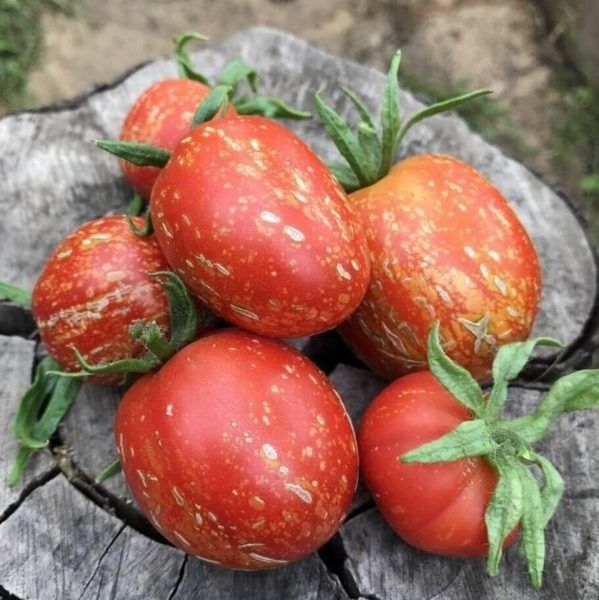 ����� ������ ����: ������� ��������� ������