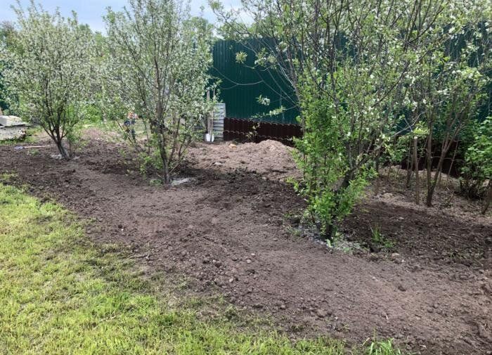 ������ � ����: ����������� �������� � �������� ����� ��������