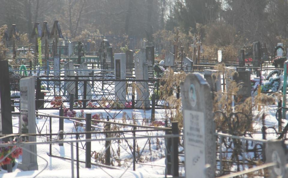 ��������� � ��������� ������� �� ����������: ������ ������ � ����� �����������