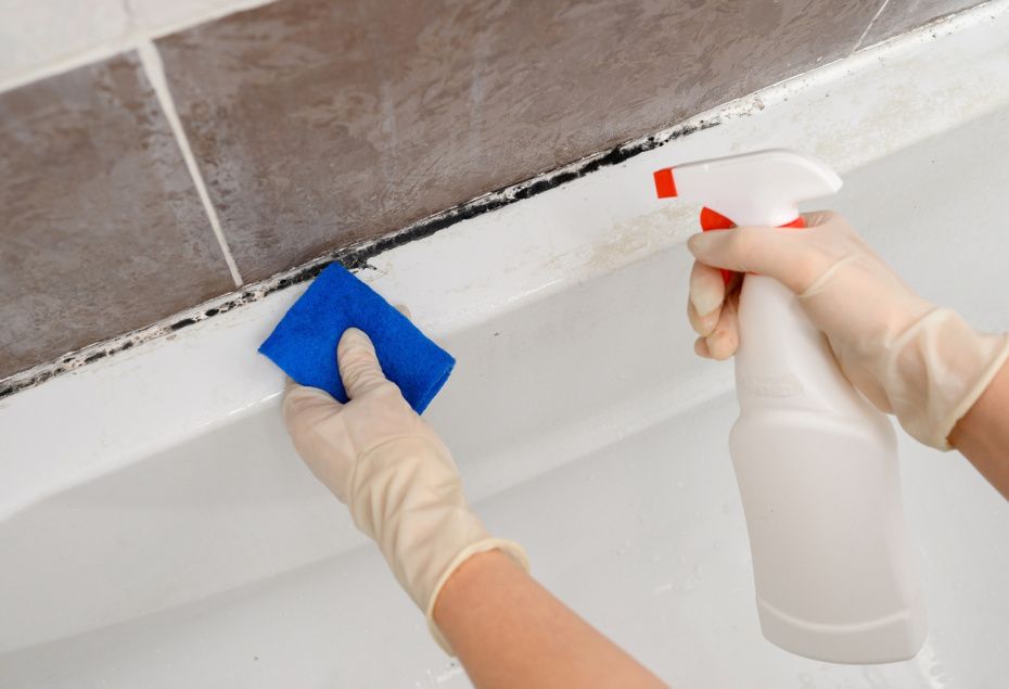 Как защититься от плесени в ванной и на кухне: простые советы и эффективные методы