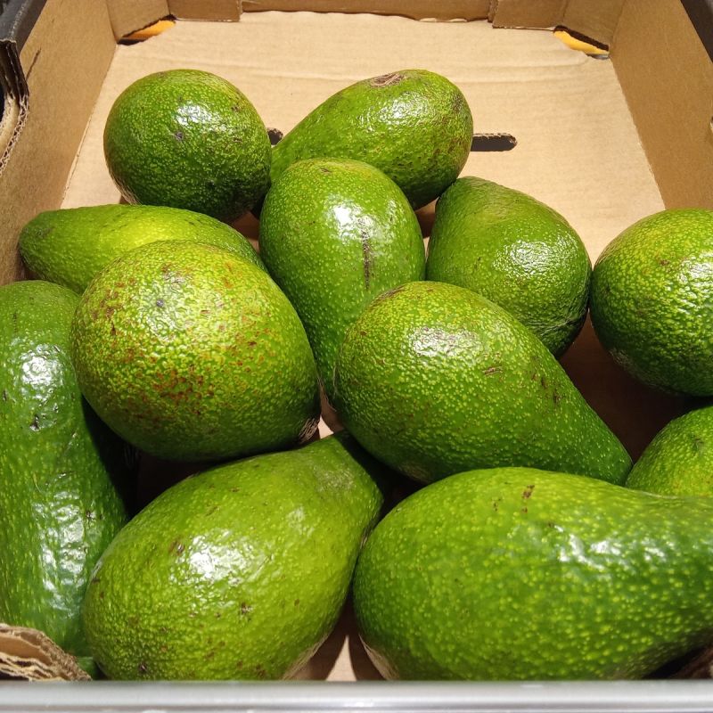 �������: ����������� ��������, ������� ������� ��� ��������