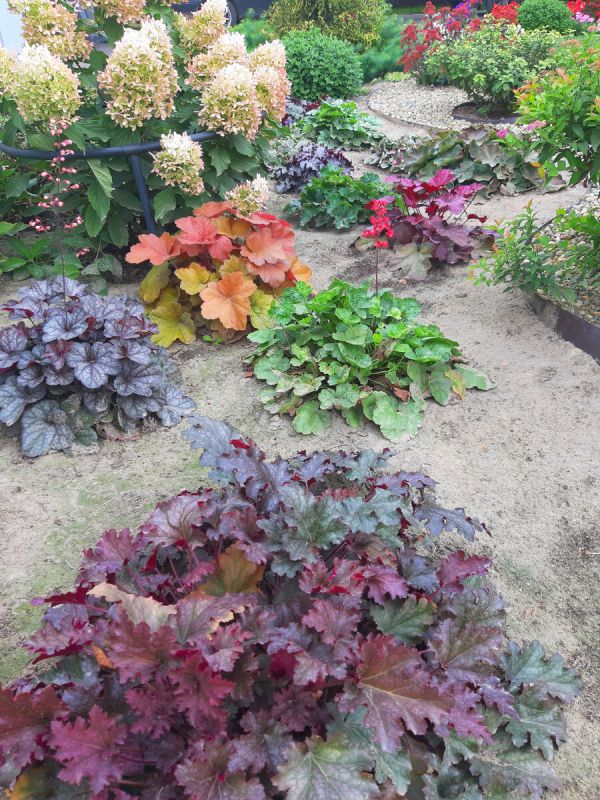 ��� ������� ����� ������� �����: ������� ������������� ��� ������ ����