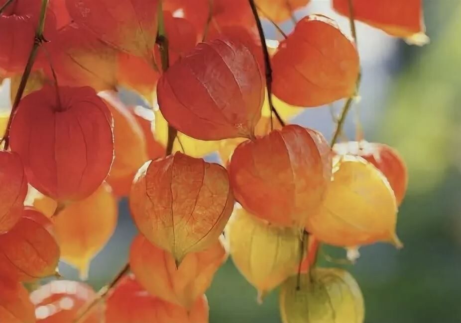 �������: ������� ����� � �������� ������